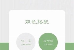 寻找与抖音相似的免费短视频实践推荐，畅享无限乐趣