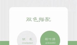 寻找与抖音相似的免费短视频实践推荐，畅享无限乐趣