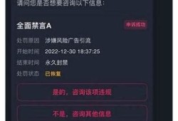 抖音是否遭遇封禁？最新消息与检视揭秘