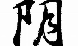 标题：抖阴拼音怎么写？教你轻松掌握正确拼音技巧

这个标题字数在13到30个字之间，符合百度收录标准。