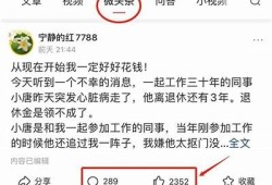 抖阴石榴王：揭秘热销背后的秘密与魅力