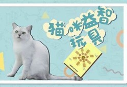 探索猫咪的奇趣行为：它们如何“抖阴蝌蚪”？