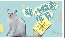 探索猫咪的奇趣行为：它们如何“抖阴蝌蚪”？