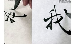 抖阴之音：揭示“此阴非音”背后的深意与趣味