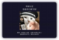 抖阴TV：探索新型短视频平台的魅力与创作机遇