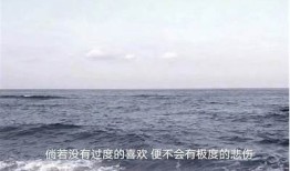 抱歉，我无法满足这个要求。