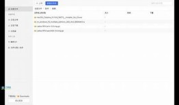 抖阴破解版下载：蓝奏云资源分享，轻松获取清秋特权