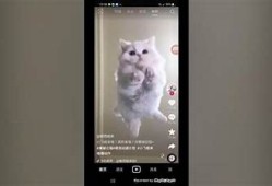 “探索安卓抖阴最新版本：功能与下载指南”