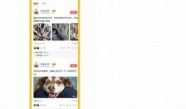探索猫咪抖音APP：分享萌宠生活的乐趣与精彩