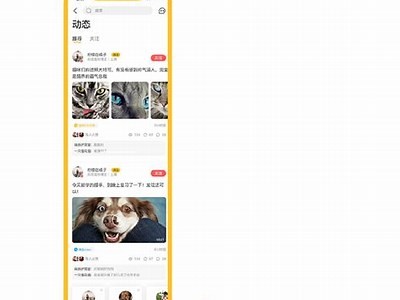 探索猫咪抖音APP：分享萌宠生活的乐趣与精彩