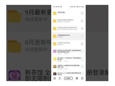 抖音老司机破解免费版使用指南：轻松获取无限乐趣与精彩内容