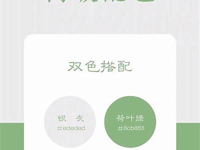 寻找与抖音相似的免费短视频使用推荐，畅享无限乐趣