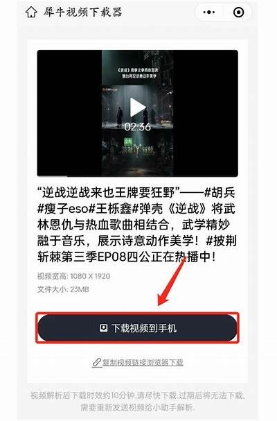 广泛解析抖阴账号会员大全：功能、权益与使用指南
