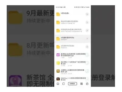老司机软件抖阴：如何安全使用与常见风险指南