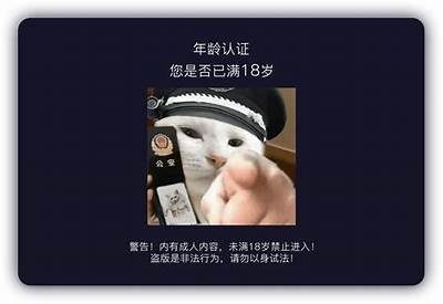 抖阴TV：探索新型短视频平台的魅力与创作机遇