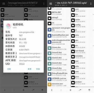 揭秘抖音视频下载方法：教你如何轻松破解安卓设备限制
