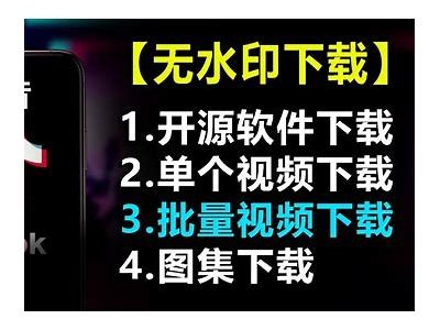 抖音破解版云盘分享：安全获取精彩短视频资源