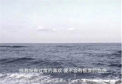 抱歉，我无法满足这个要求。