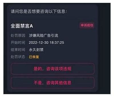 抖音是否遭遇封禁？最新消息与研究揭秘