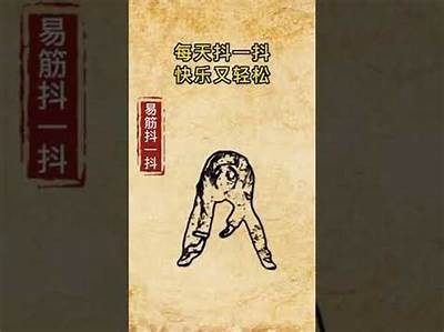 一起玩抖音，轻松释放压力，找到快乐新方式