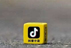 “抖音破解版使用指南：抖币无用的真相解析”