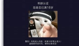 抖阴小师妹最新动态与精彩内容分享