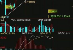 抖阴大湿：撩动心弦的都市爱情小说