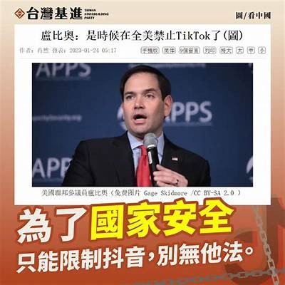 如何在抖音中快速安全地更换账号详细步骤分享