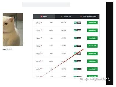 如何在iOS设备上下载抖阴和迅雷的详细步骤