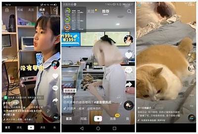 抖音短视频APP破解版下载，轻松畅享海量视频资源